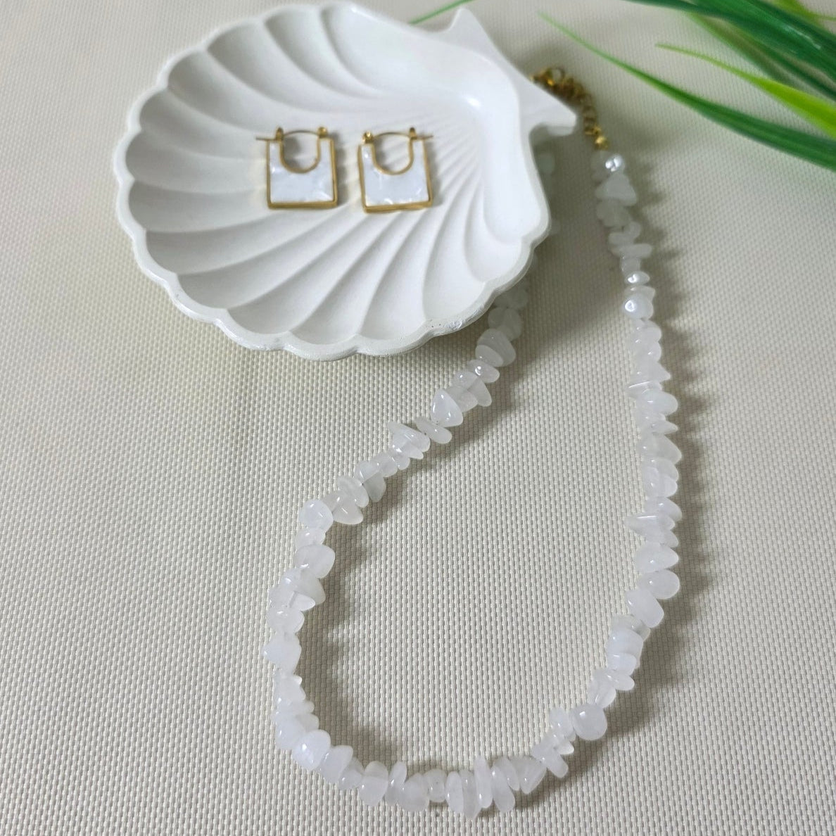 Decorative shell with a gold chain on a textured surface